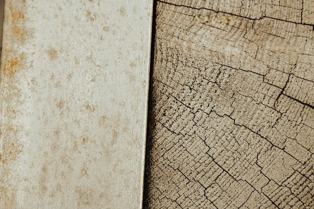abbie bernet e2xnsevWWPQ unsplash