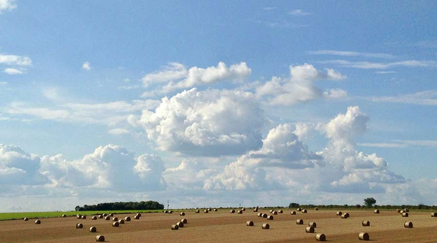 aprovechamiento del residuo agricola