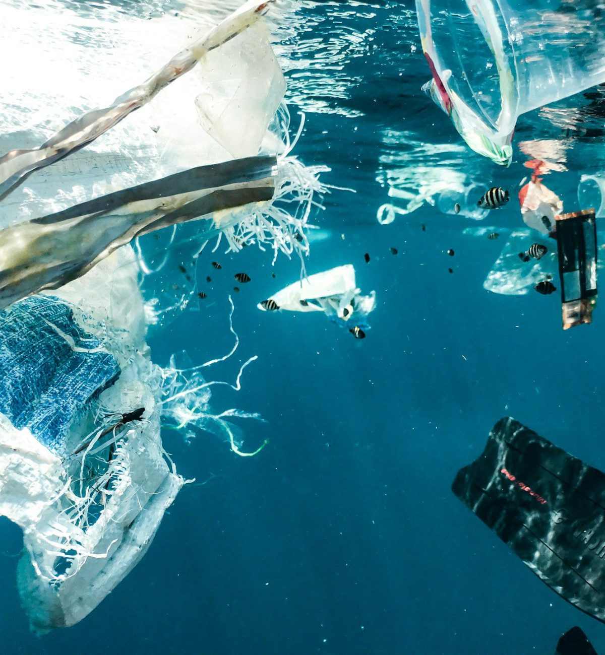 reciclaje plastico reciclaje plastico